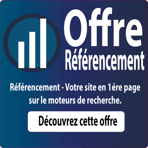 Référencement SEO